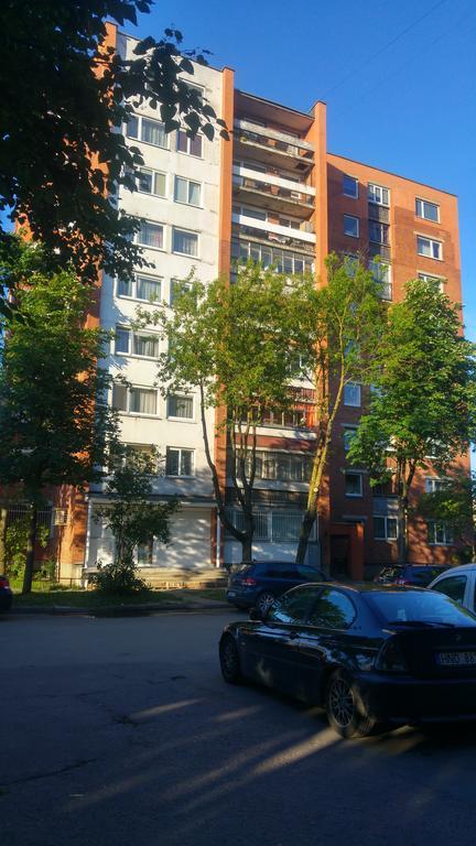 Gina'S Apartment Partizanu G كاوناس المظهر الخارجي الصورة